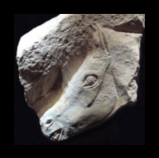 תחריטים מוקדמים: יצירת דפוסים באמנות פרהיסטורית