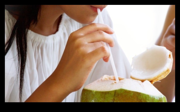 המדריך האולטימטיבי למי קוקוס: טיפים וטריקים לרענון אופטימלי