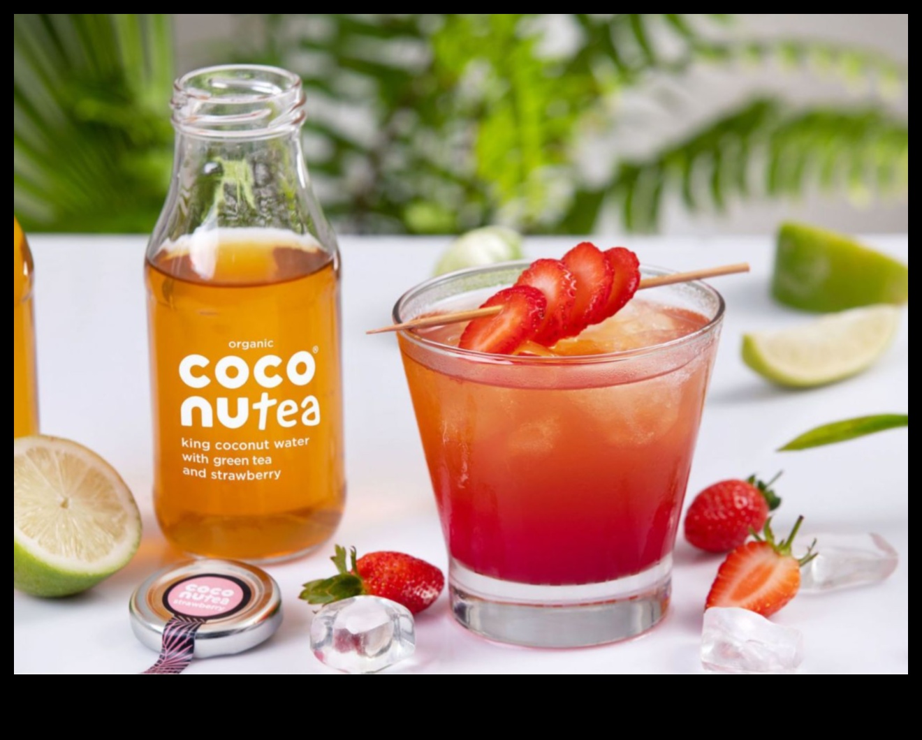 אומנות היצירה של מי קוקוס: טיפים והשראות לחובבי קוקוס