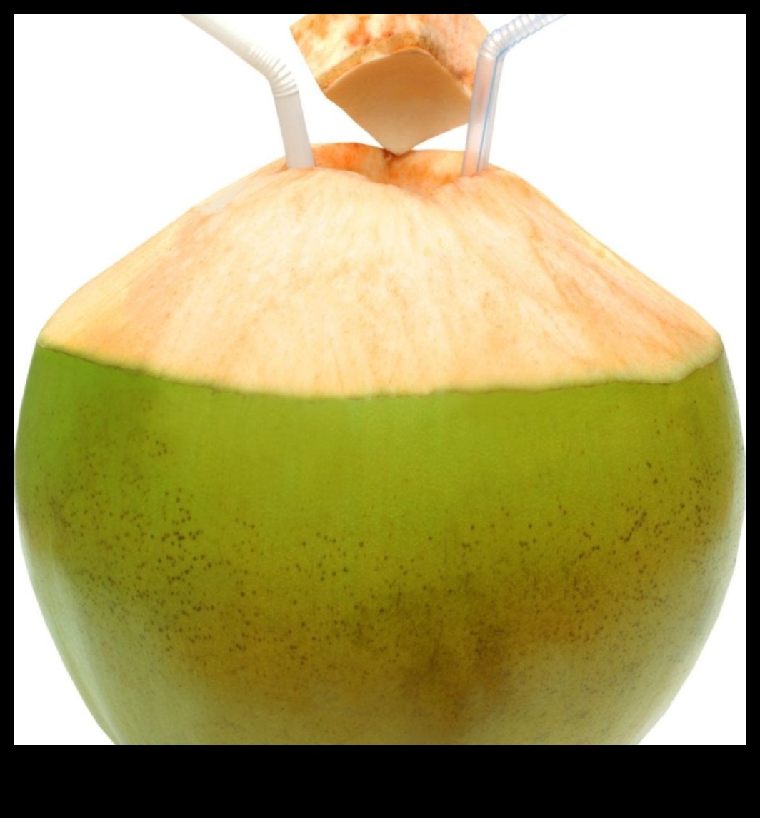 אומנות היצירה של מי קוקוס: טיפים והשראות לחובבי קוקוס