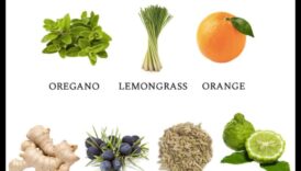 יסודות ניקוי רעלים: מרכיבים חובה לתועלת תזונתית מרבית