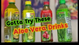 טרי ויצירתי: ערבוב והתאמת טעמים למשקאות אלוורה שאי אפשר לעמוד בפניהם