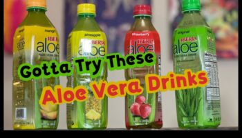 טרי ויצירתי: ערבוב והתאמת טעמים למשקאות אלוורה שאי אפשר לעמוד בפניהם