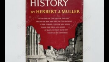 מבולי עץ ועד נולים: יצירת טקסטיל מעץ לבית שלך