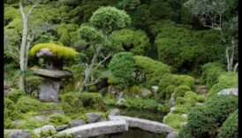 רעיונות לעיצוב גן יפני מסורתי